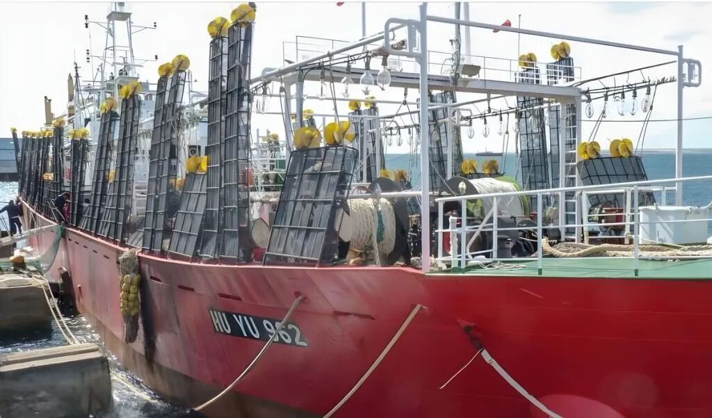 首批鱿钓船满载而归巴塔哥尼亚！2026全球鱿鱼卸货季火热开场(图1)