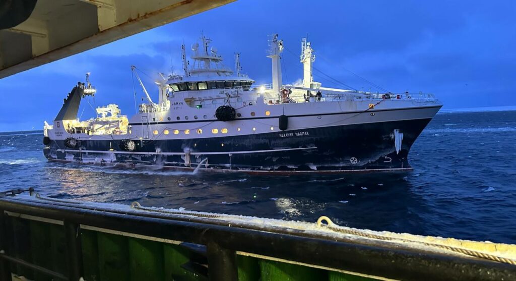 年初至今捕捞超22万吨，俄罗斯渔业哪些海鲜这么“能打”？(图2)