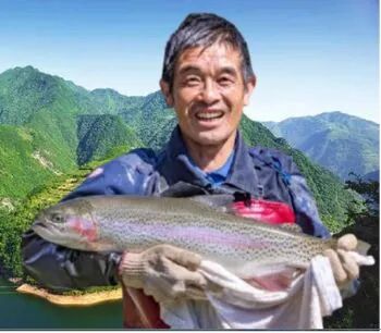 秦岭深处养出“冷泉三文鱼”，商洛探索渔业新路径(图4)