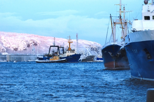 俄罗斯北方渔业再掀国有化浪潮，法律矛头指向“隐形外资”