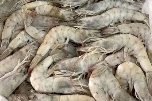 新规来了！白虾二氧化硫超标罚千元还上征信，南美白虾市场或迎暴涨？