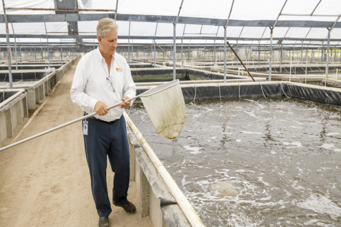 CEO被捕、全员解雇，高端虾品牌“太阳虾”何去何从？