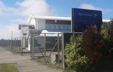 AquaChile lab to conduct coronavirus testing in southern Chile (图1)