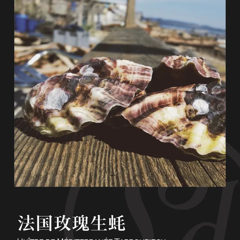 鼎宴食品（上海）有限公司——生活因美食而绽放(图11)