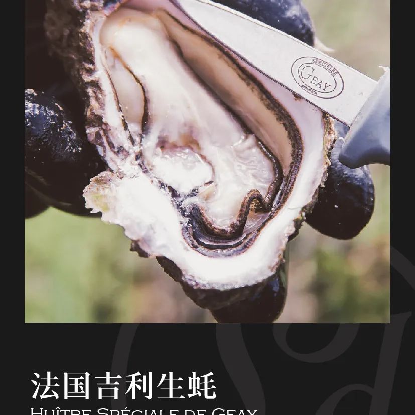 鼎宴食品（上海）有限公司——生活因美食而绽放(图9)