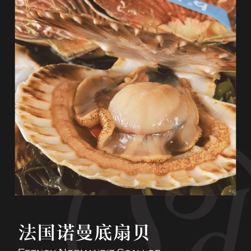 鼎宴食品（上海）有限公司——生活因美食而绽放(图22)