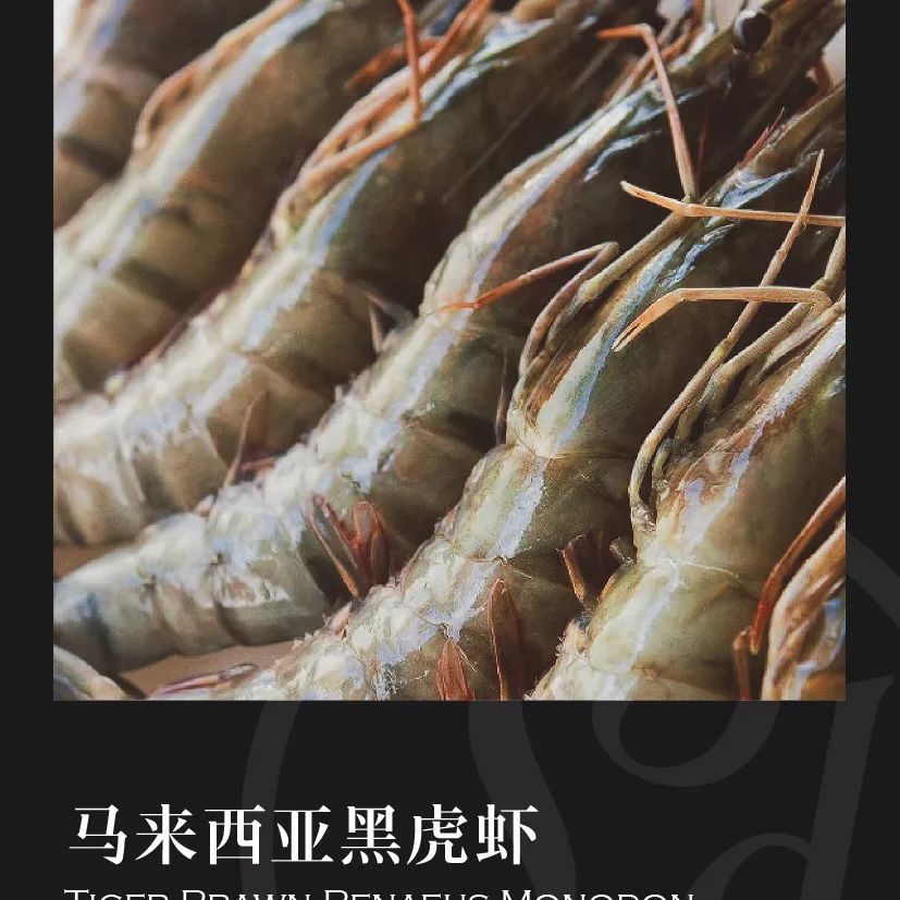 鼎宴食品（上海）有限公司——生活因美食而绽放(图27)