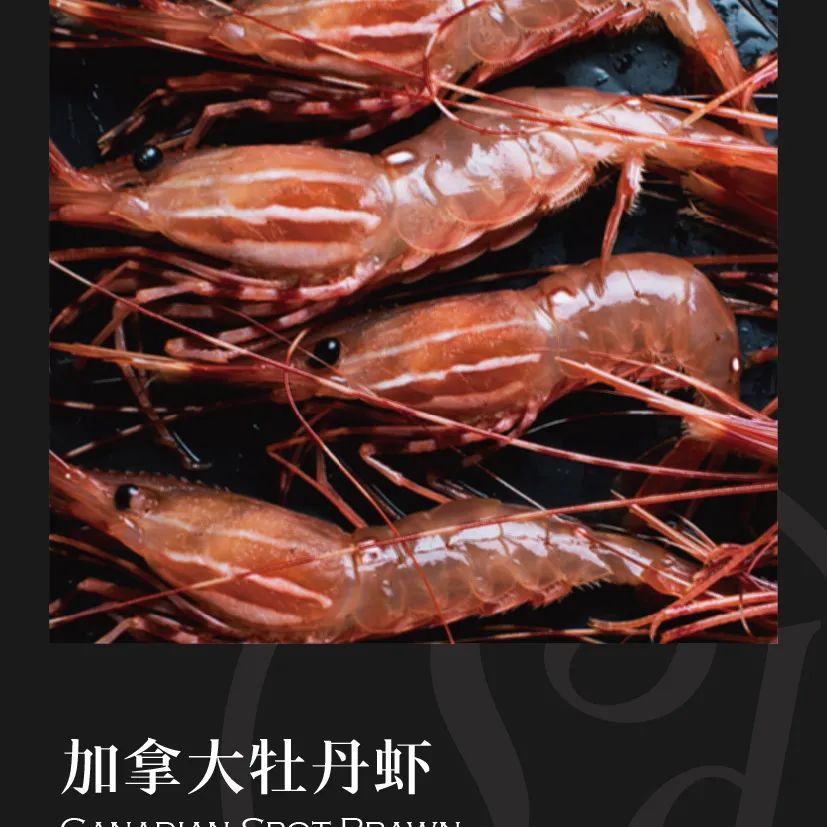 鼎宴食品（上海）有限公司——生活因美食而绽放(图29)