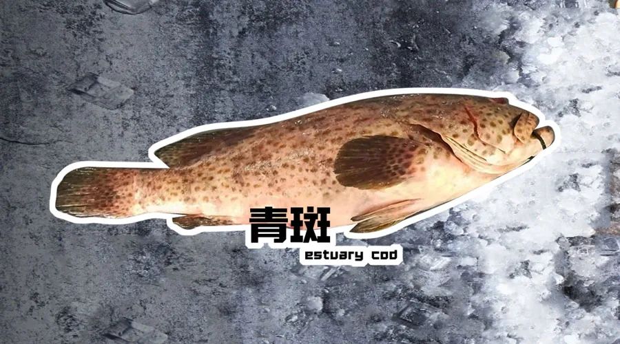 【优质展商】烟台有个海进出口有限公司——让野生鲜味直达舌尖！(图3)