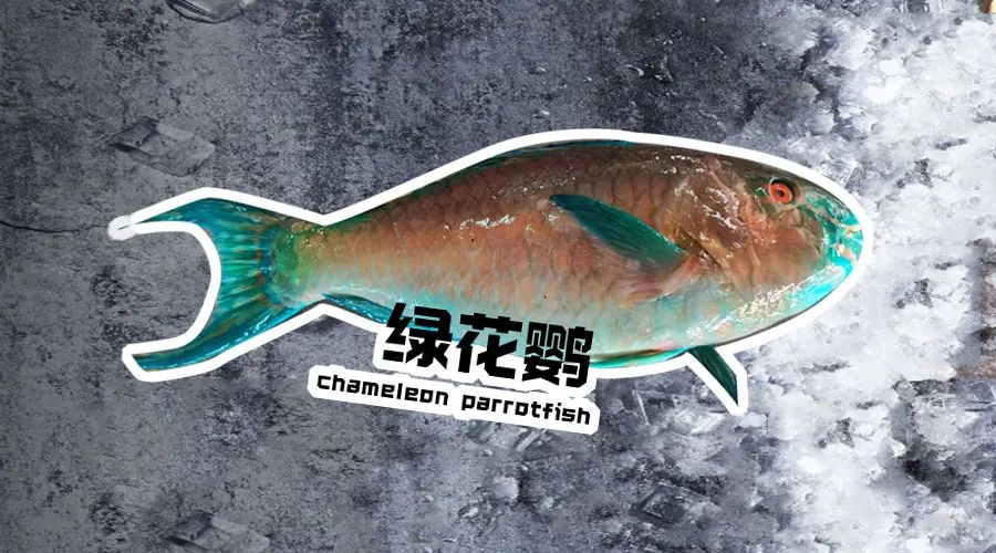 【优质展商】烟台有个海进出口有限公司——让野生鲜味直达舌尖！(图10)