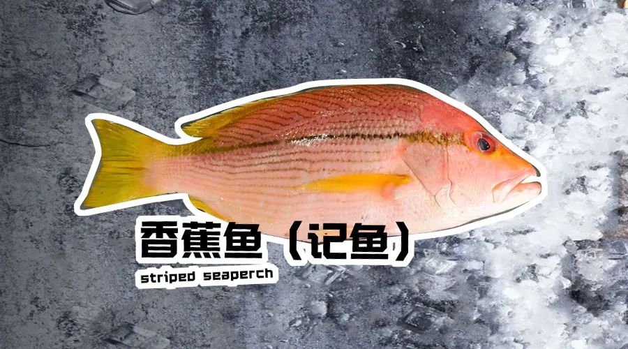 【优质展商】烟台有个海进出口有限公司——让野生鲜味直达舌尖！(图13)