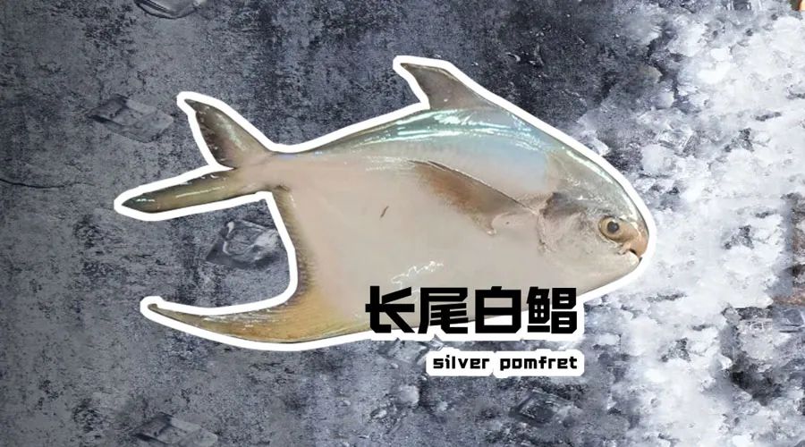 【优质展商】烟台有个海进出口有限公司——让野生鲜味直达舌尖！(图16)