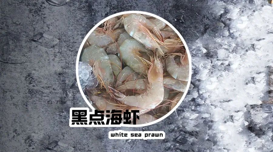 【优质展商】烟台有个海进出口有限公司——让野生鲜味直达舌尖！(图17)