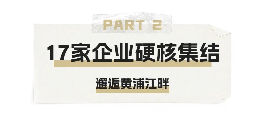 华东渔业顶流局!厄瓜多尔 “国家队” 集结,8月到上海解锁从南美洲到黄浦江的深海密(图3) 图片