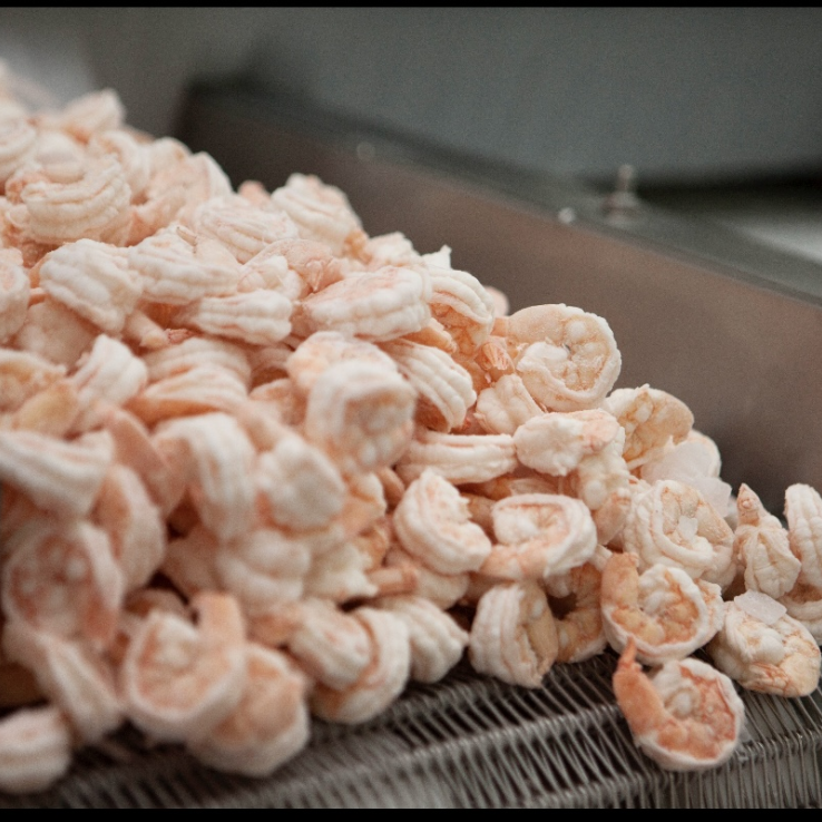 华东渔业顶流局!厄瓜多尔 “国家队” 集结,8月到上海解锁从南美洲到黄浦江的深海密(图15) 图片