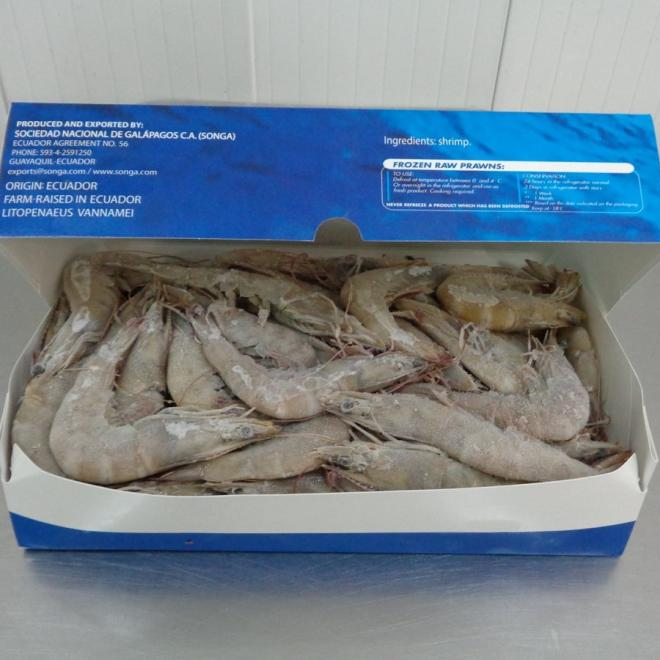 华东渔业顶流局!厄瓜多尔 “国家队” 集结,8月到上海解锁从南美洲到黄浦江的深海密(图16) 图片