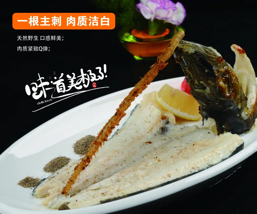 从南极到上海餐桌,格利斯冰鱼演绎 15000 公里的深海传奇!(图6) 图片