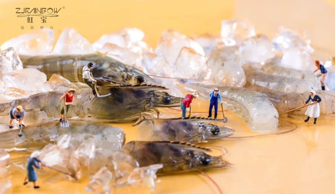 虹宝水产四十年锻造"虾品王国"(图4) 图片