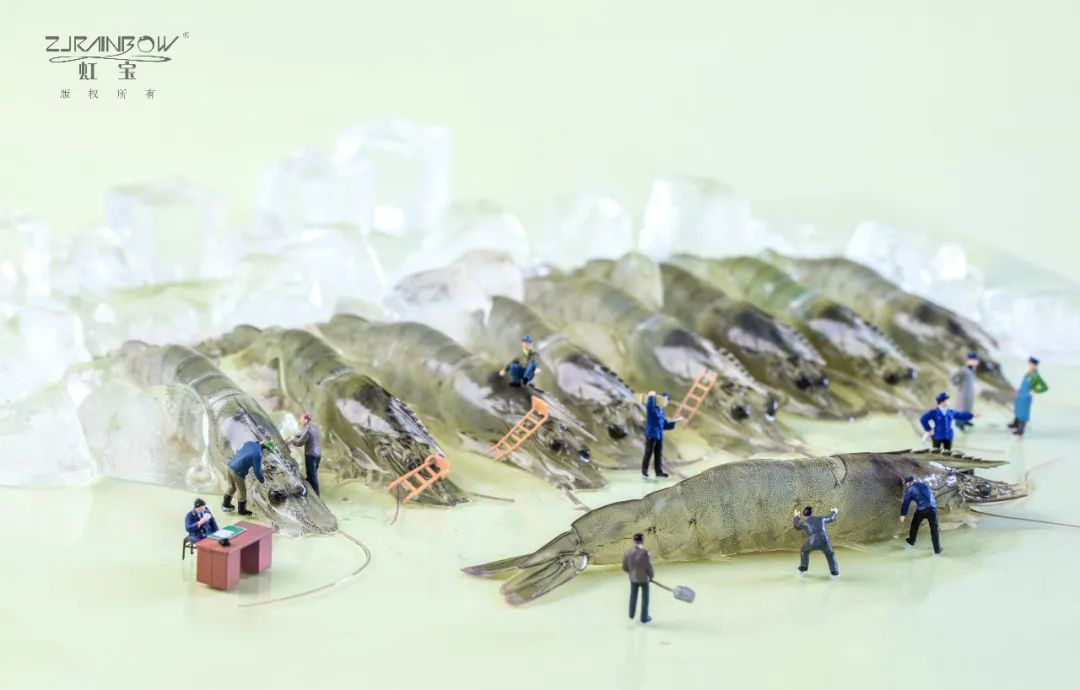 虹宝水产四十年锻造"虾品王国"(图21) 图片