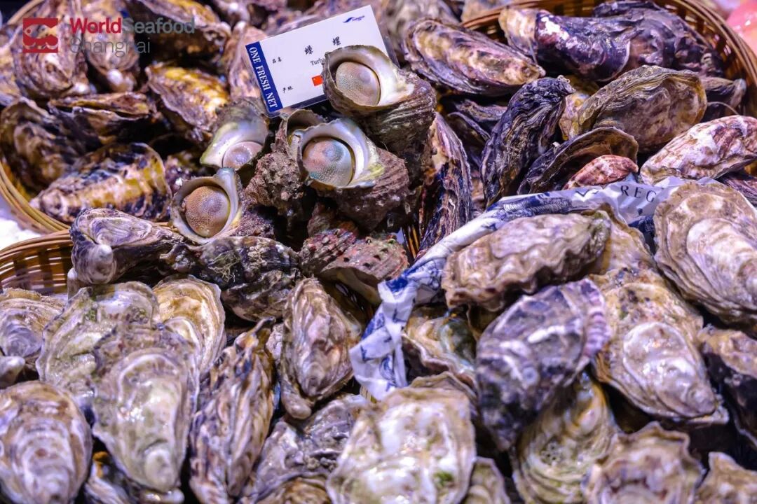 海外商机 引力全球 | 上海成为全球水产商机的“引力场”(图12)