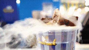 高端不贵,便捷翻倍!上海渔博会滋补新品正在适配年轻化“快养生”(图16) 高端不贵,便捷翻倍!上海渔博会滋补新品正在适配年轻化“快养生”(图16)