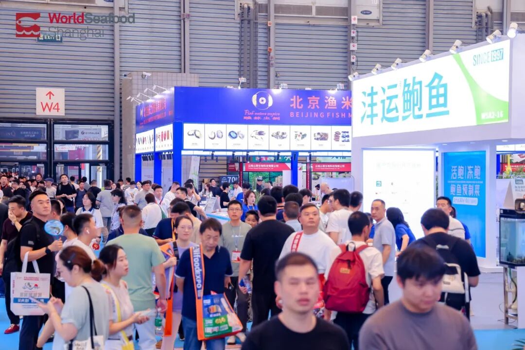 高端不贵,便捷翻倍!上海渔博会滋补新品正在适配年轻化“快养生”(图21) 高端不贵,便捷翻倍!上海渔博会滋补新品正在适配年轻化“快养生”(图21)