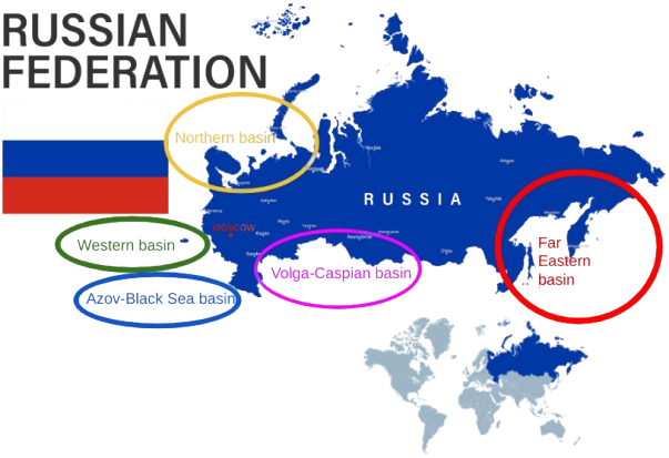 俄罗斯渔业渔获量接近450万吨(图1)