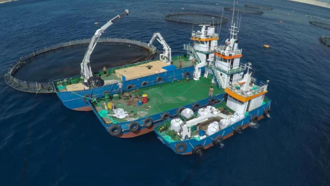 海南通告：12月18日起，全岛封关！(图6)