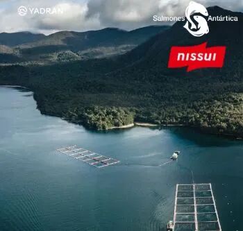 日产日水1.33亿美元收购智利企业，扩大全球鲑鱼养殖业务(图3)