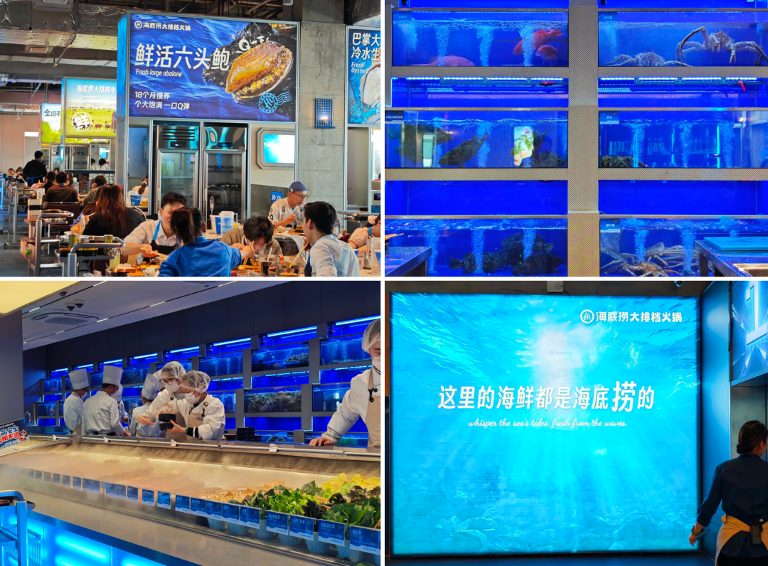 一盘螃蟹15块,海底捞大排档能否改写海鲜火锅市场?(图3) 一盘螃蟹15块,海底捞大排档能否改写海鲜火锅市场?(图3)