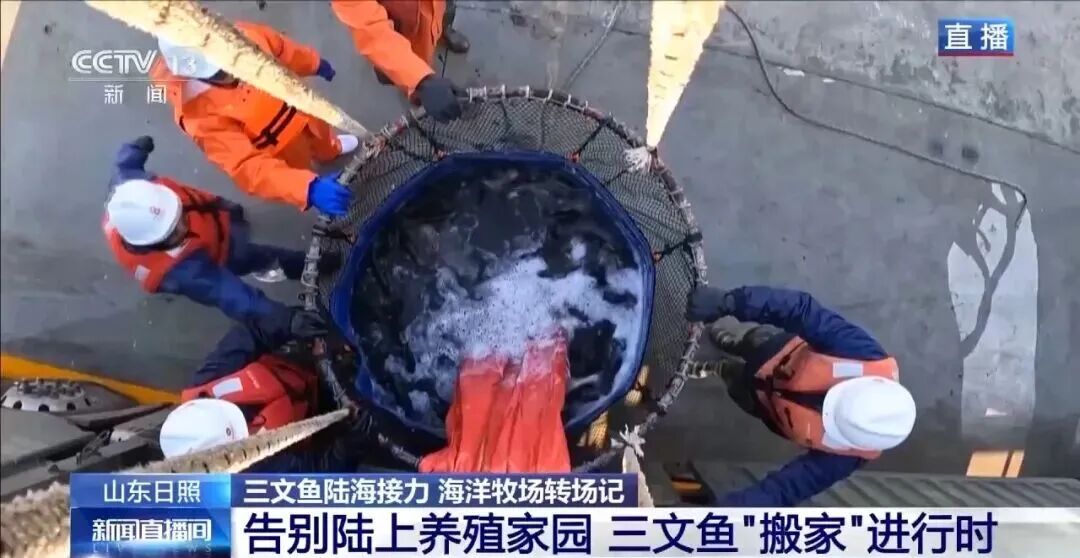 直击海洋牧场转场 | 我国迎来三文鱼陆海接力养殖时代(图1) 直击海洋牧场转场 | 我国迎来三文鱼陆海接力养殖时代(图1)