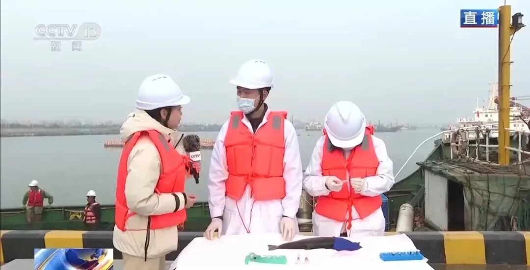 直击海洋牧场转场 | 我国迎来三文鱼陆海接力养殖时代(图2) 直击海洋牧场转场 | 我国迎来三文鱼陆海接力养殖时代(图2)