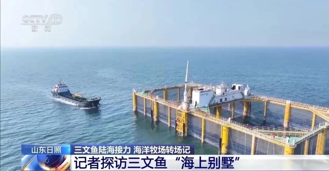 直击海洋牧场转场 | 我国迎来三文鱼陆海接力养殖时代(图8) 直击海洋牧场转场 | 我国迎来三文鱼陆海接力养殖时代(图8)