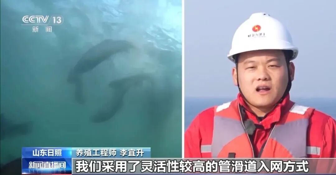 直击海洋牧场转场 | 我国迎来三文鱼陆海接力养殖时代(图9) 直击海洋牧场转场 | 我国迎来三文鱼陆海接力养殖时代(图9)