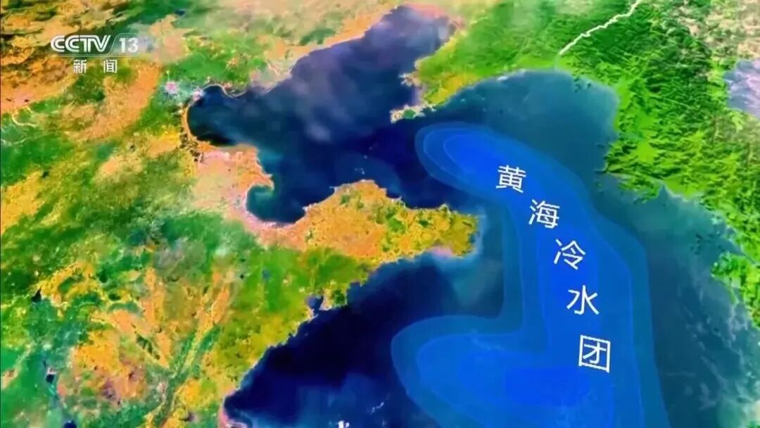 直击海洋牧场转场 | 我国迎来三文鱼陆海接力养殖时代(图15) 直击海洋牧场转场 | 我国迎来三文鱼陆海接力养殖时代(图15)