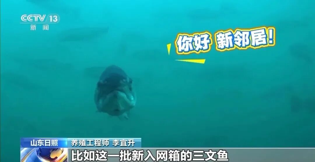 直击海洋牧场转场 | 我国迎来三文鱼陆海接力养殖时代(图10) 直击海洋牧场转场 | 我国迎来三文鱼陆海接力养殖时代(图10)