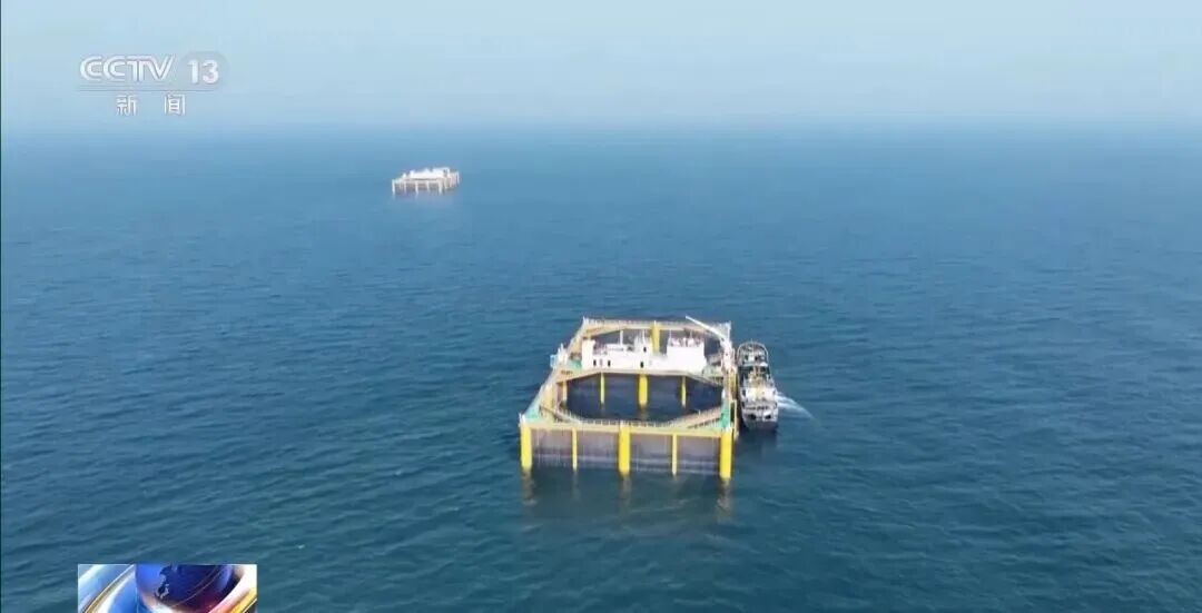 直击海洋牧场转场 | 我国迎来三文鱼陆海接力养殖时代(图13) 直击海洋牧场转场 | 我国迎来三文鱼陆海接力养殖时代(图13)