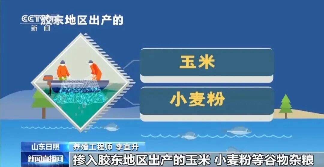 直击海洋牧场转场 | 我国迎来三文鱼陆海接力养殖时代(图12) 直击海洋牧场转场 | 我国迎来三文鱼陆海接力养殖时代(图12)
