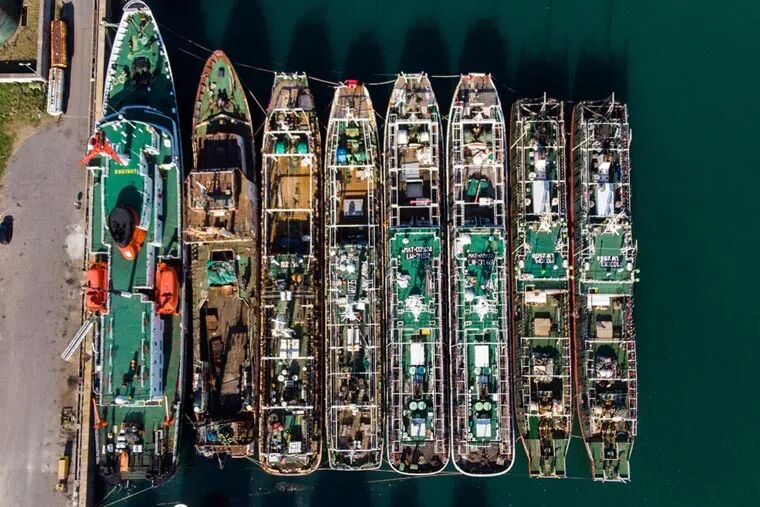 阿根廷鱿鱼季开局不利:恶劣天气与资源分散致“零渔获”(图1) 阿根廷鱿鱼季开局不利:恶劣天气与资源分散致“零渔获”(图1)