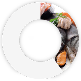 代理商/分销商/批发商