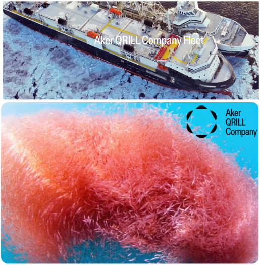 南极联盟反对对磷虾渔业的MSC再认证(图4)