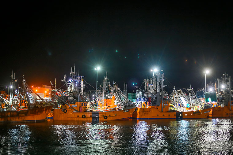 丘布特以90,000吨捕捞量 结束罗森港2025–2026年虾捕捞季(图2)