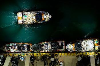 丘布特以90,000吨捕捞量 结束罗森港2025–2026年虾捕捞季(图1)