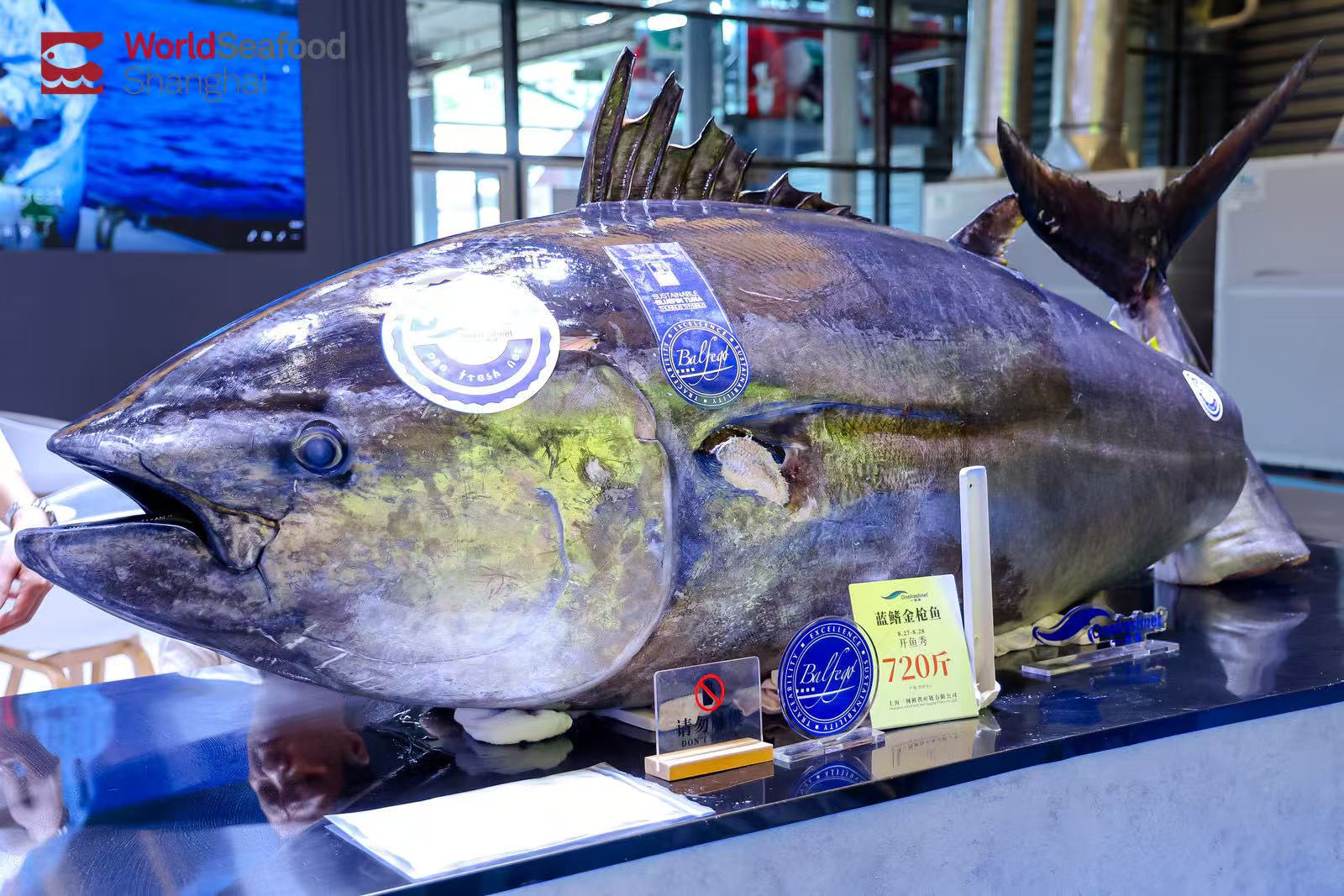 从海洋到礼单,开启千亿礼赠新蓝海 | 2026上海渔博会“电商礼品专区”隆重邀约(图12) 从海洋到礼单,开启千亿礼赠新蓝海 | 2026上海渔博会“电商礼品专区”隆重邀约(图12)