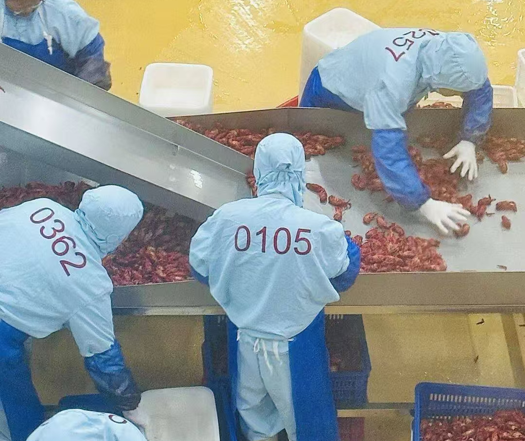 龙头产能落地监利！德善食品投产补齐本地小龙虾精深加工短板(图2)