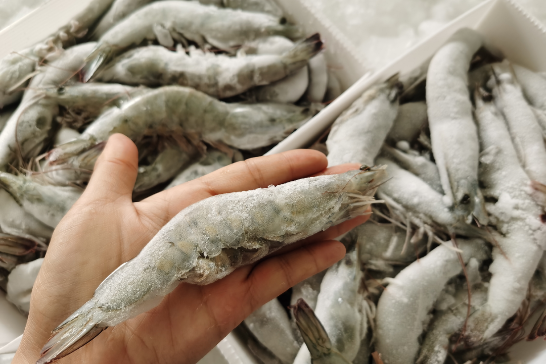 虾界“顶流”！白虾、甜虾、黑虎虾、牡丹虾…谁是你的心动“虾”？(图34)