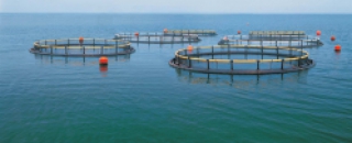Aquaculture technology and equipment