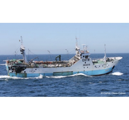 阿根廷海域长期遭非法捕捞”袭击” 国际船只问题屡禁不止