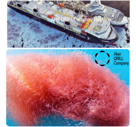 南极联盟反对对磷虾渔业的MSC再认证