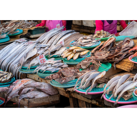 联合国粮农组织报告：全球20%海鲜贸易涉欺诈，餐饮行业尤甚